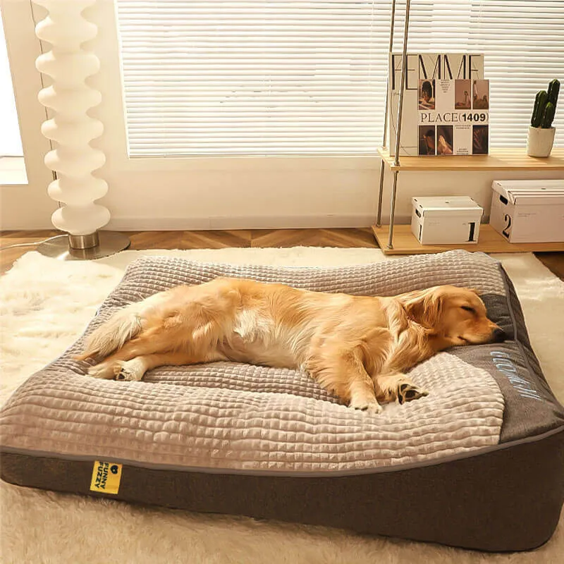 Luksuriøs hundeseng med optimal rygstøtte