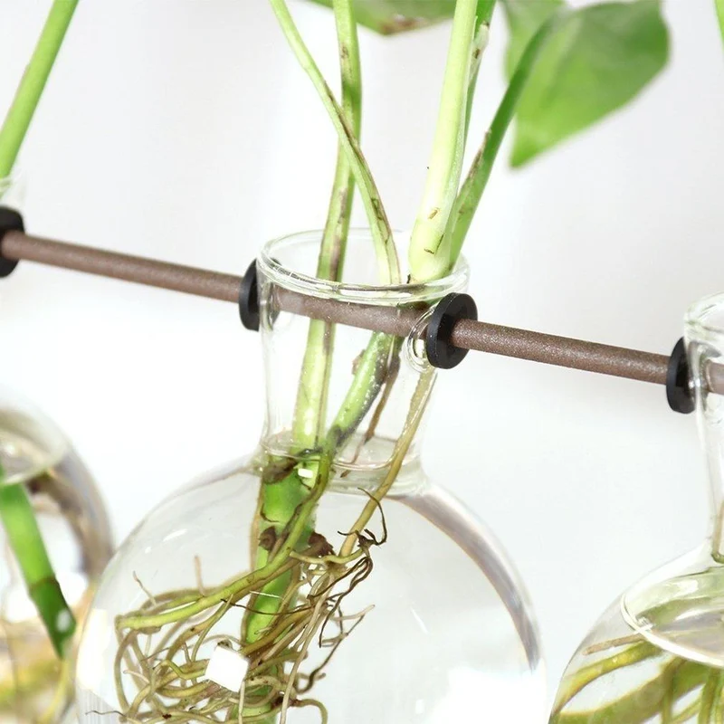 Fauna Planter Potter til Stiklinger - Dyrk Dine Egne Planter Hjemme