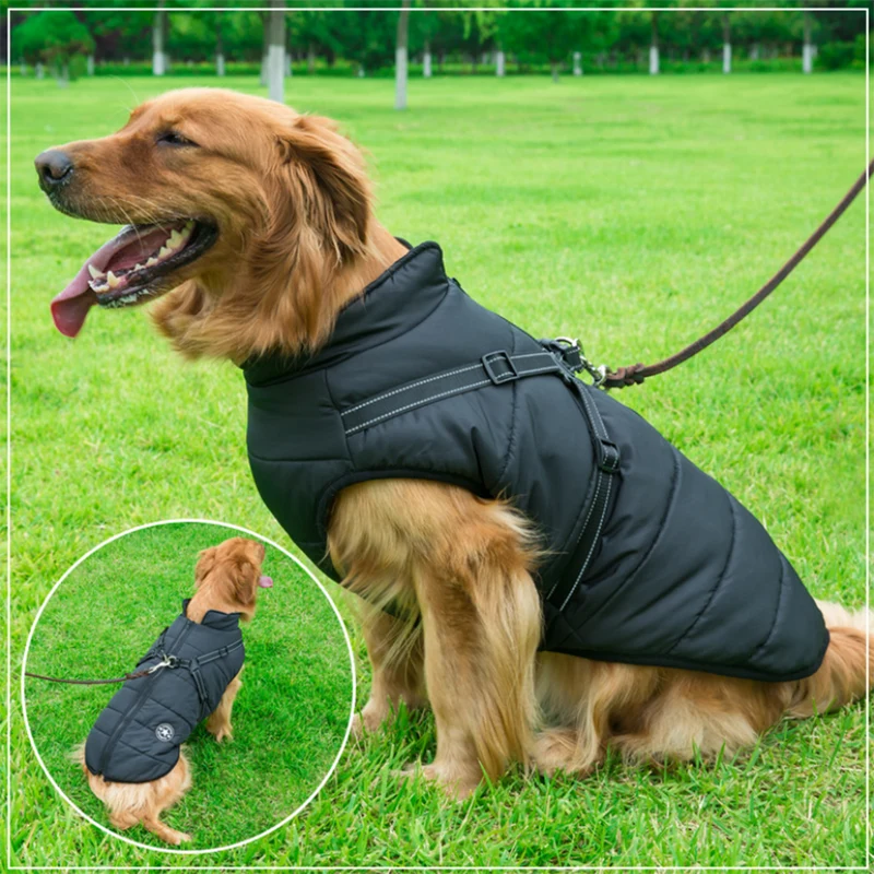 Vinterjakke til hunde med integreret sele