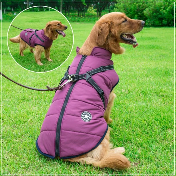 Vinterjakke til hunde med integreret sele
