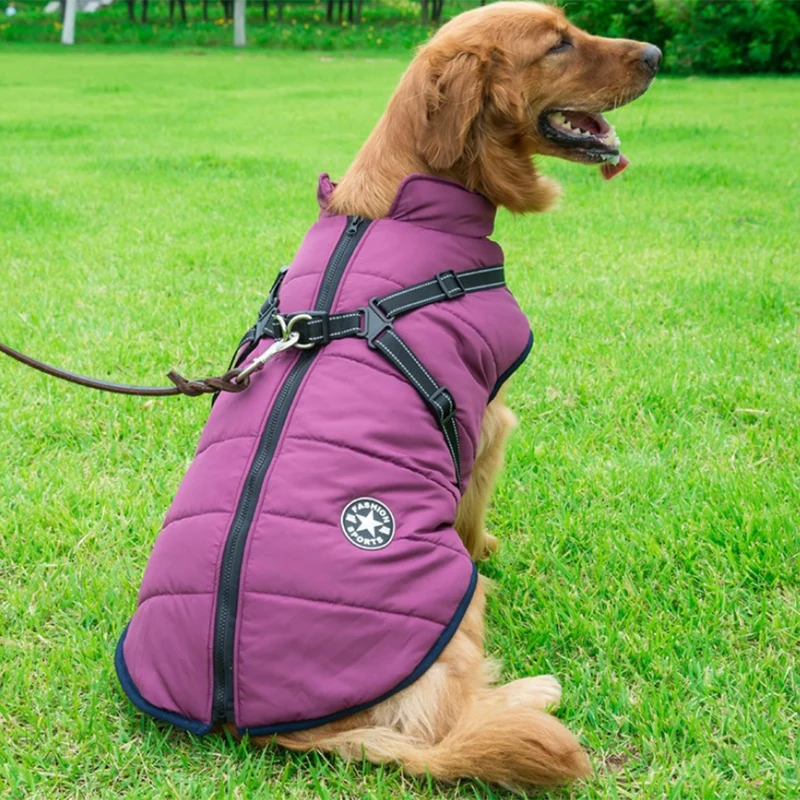 Vinterjakke til hunde med integreret sele