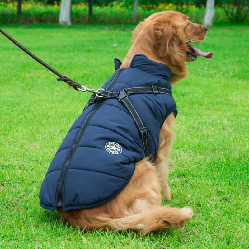Vinterjakke til hunde med integreret sele