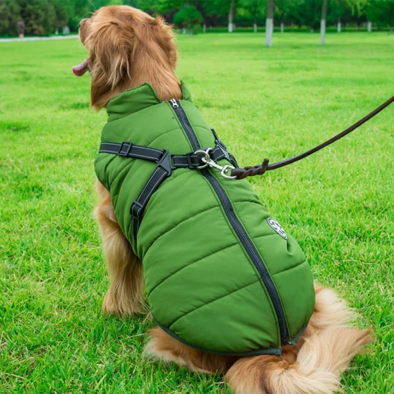 Vinterjakke til hunde med integreret sele