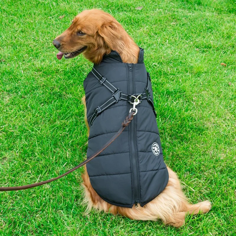 Vinterjakke til hunde med integreret sele