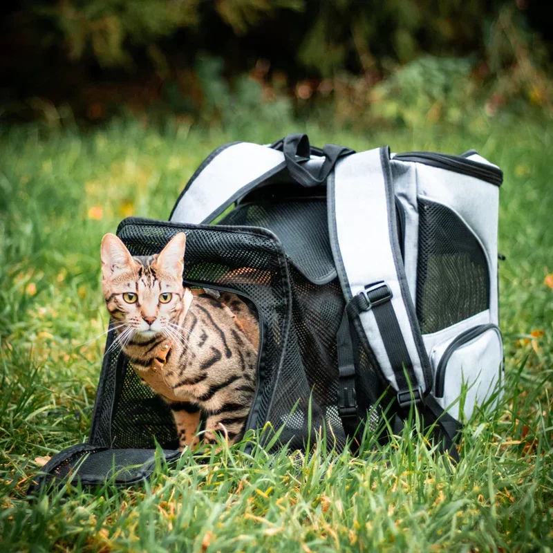 Kattesekker - FurVoyager