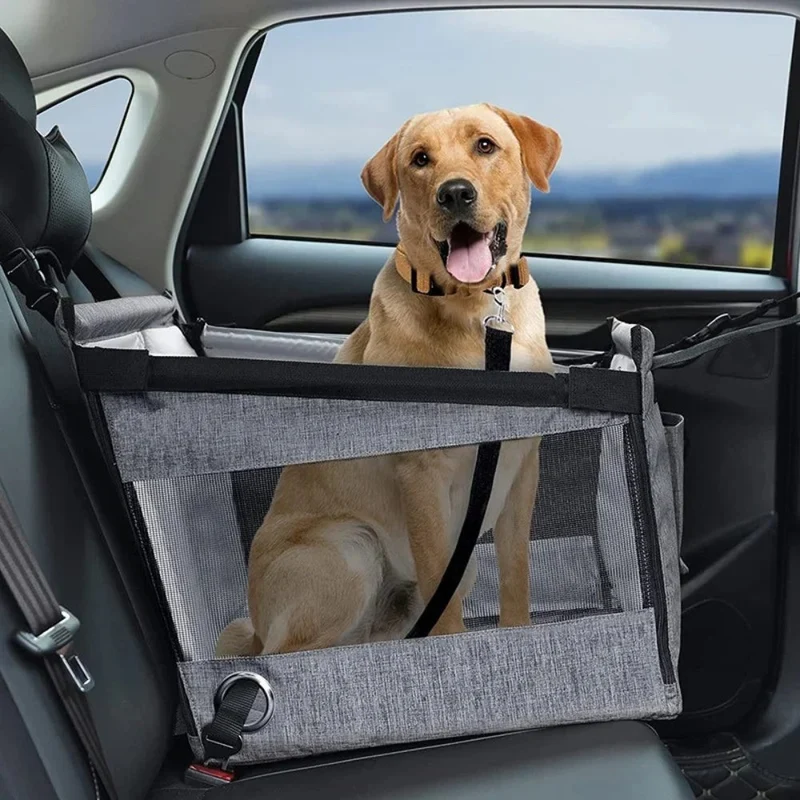 Bilseng til Hunde - Komfortabel Transport i Sikkerhed