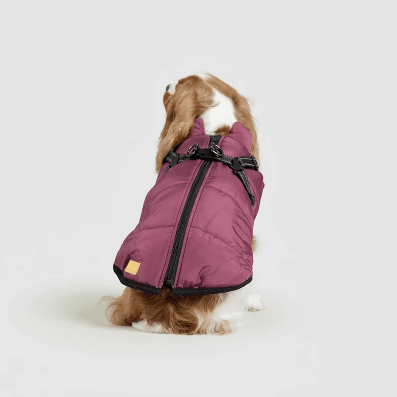 Vandtæt Vinterjakke til Hunde - Isoleret og Komfortabel