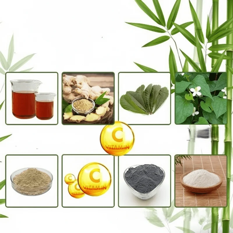 Naturlige Detox Fodplastre til Effektiv Afgiftning Mens Du Sover