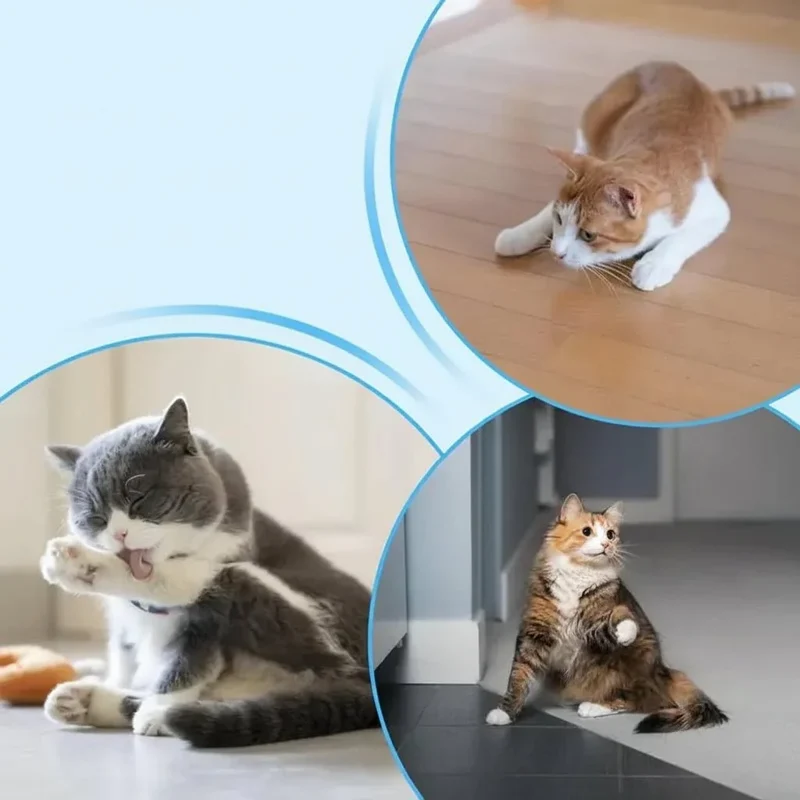 Interaktiv Vandlegemåtte til Katte - Stimulerende Sanseleg