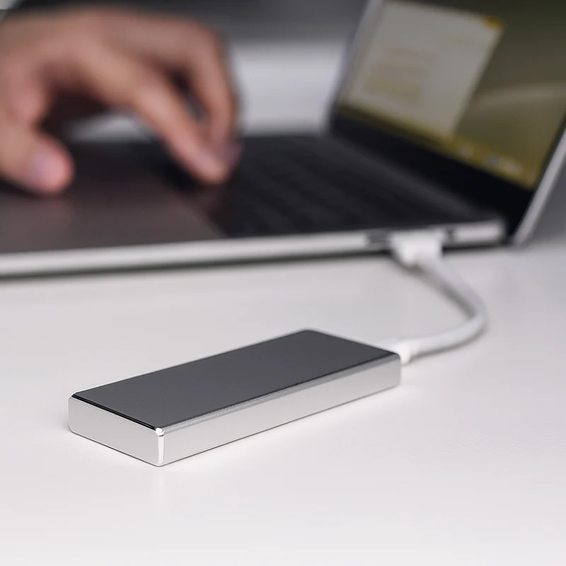 Kompakt Bærbar SSD med Hurtig Dataoverførsel