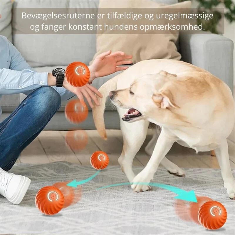 Automatisk Boldkaster til Hunde – Aktiver & Glæd Din Hund