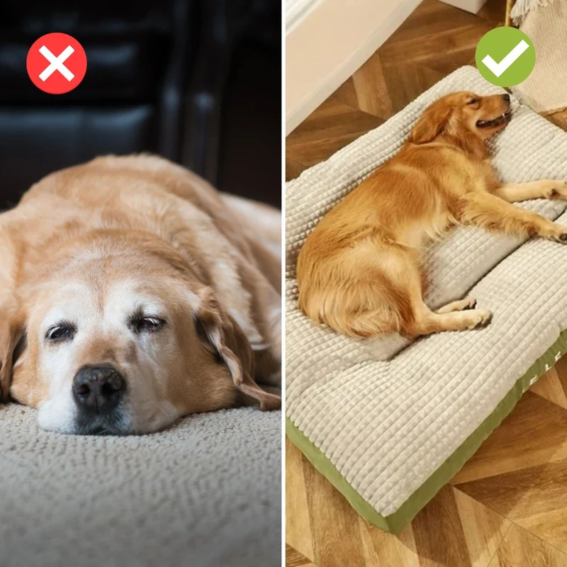 Ergonomisk Hundeseng med Ortopædisk Memory-Skum
