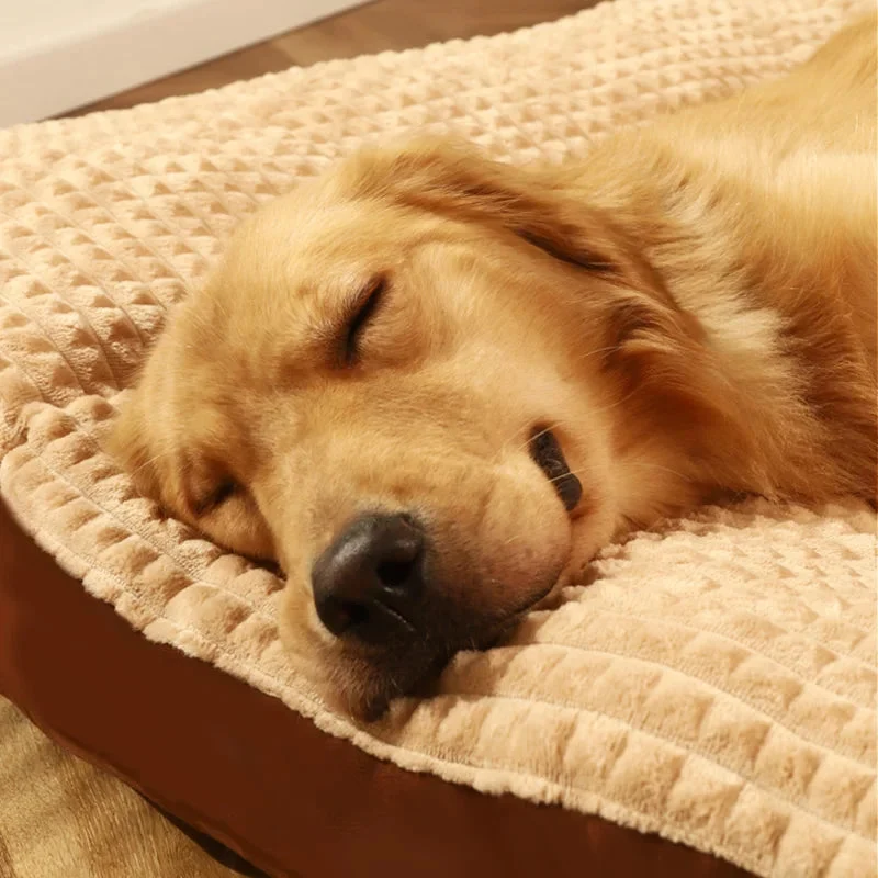 Ergonomisk Hundeseng med Ortopædisk Memory-Skum