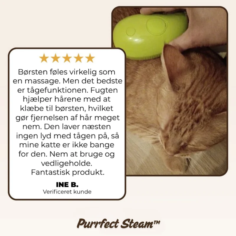 Kattebørste med Dampfunktion – Ultimativ Pleje og Velvære
