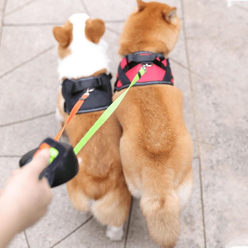 Dobbel Hundesnor med Lommelygte og Reflekterende Detaljer