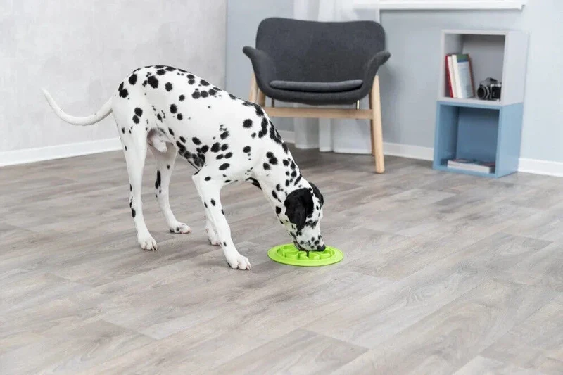 Skridsikkert silikoneunderlag til langsom fodring af hunde
