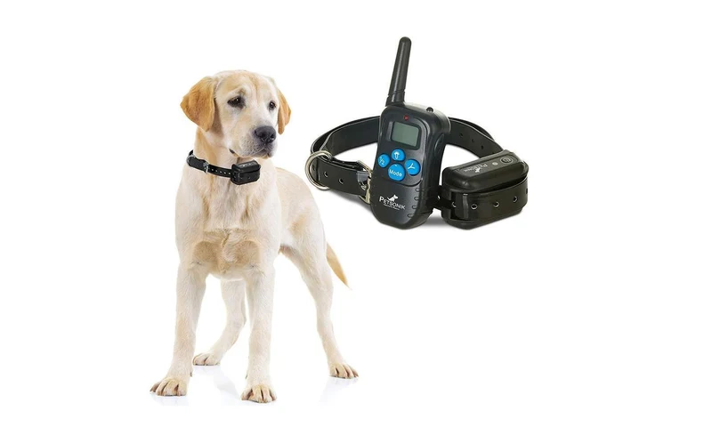 Træningshalsbånd til Hunde med Fjernbetjening og LED-lys