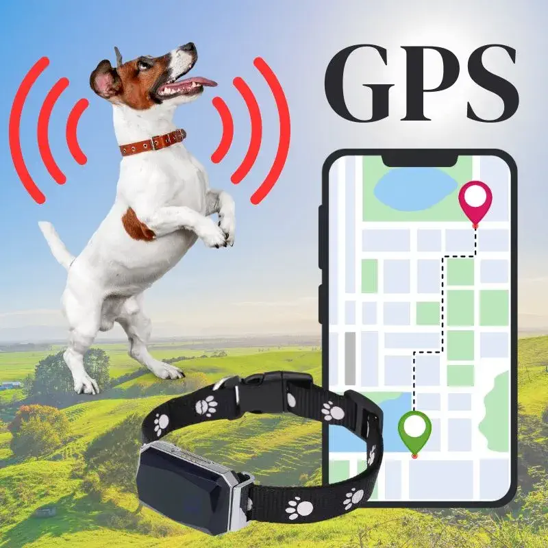 Vandtæt GPS Hundehalsbånd med Avanceret Sporingsteknologi