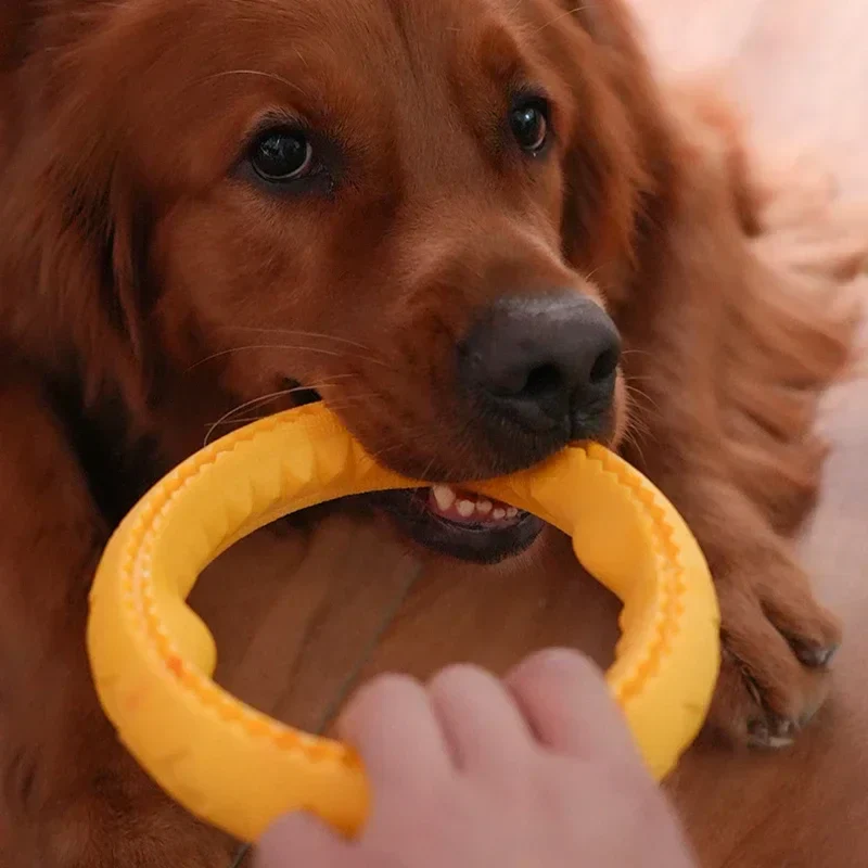 Holdbart Kastelegetøj til Hunde – Perfekt til Leg & Træning