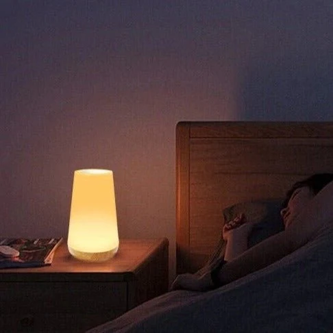Dæmpbar LED Bordlampe med Genopladeligt Batteri og Touch