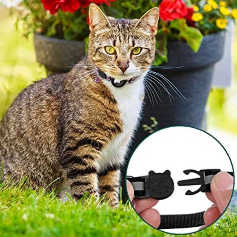 Kattehalsbånd med GPS-holder og Reflekterende Design