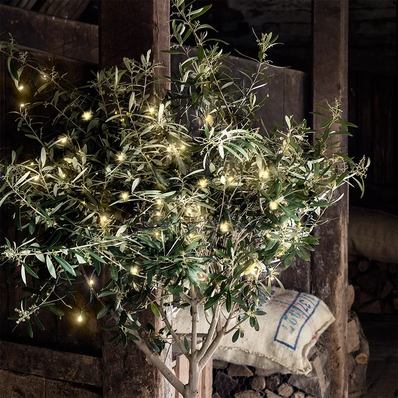 Vejrbestandig LED Lyskæde til Udendørs og Indendørs Brug