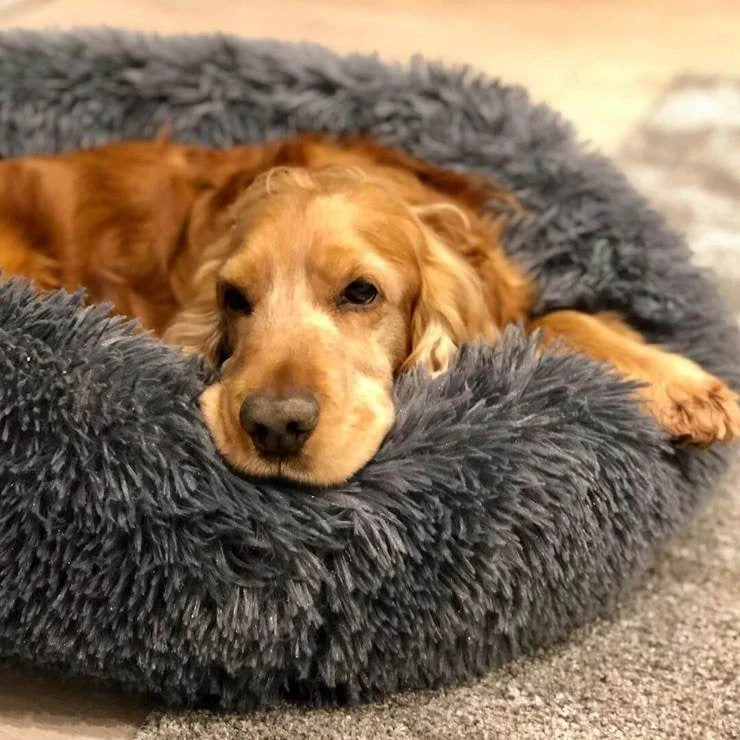 Ortopædisk Hundeseng i Plys – Beroligende Komfort til Kæledyr