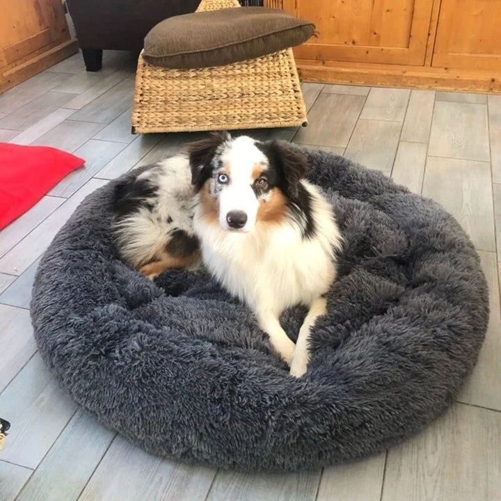 Ortopædisk Hundeseng i Plys – Beroligende Komfort til Kæledyr