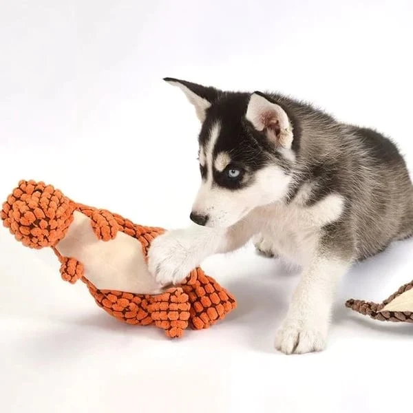 Holdbart Hundelegetøj i Plys - Ideelt til Aktive Hunde