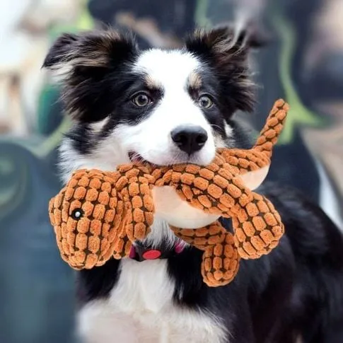 Holdbart Hundelegetøj i Plys - Ideelt til Aktive Hunde