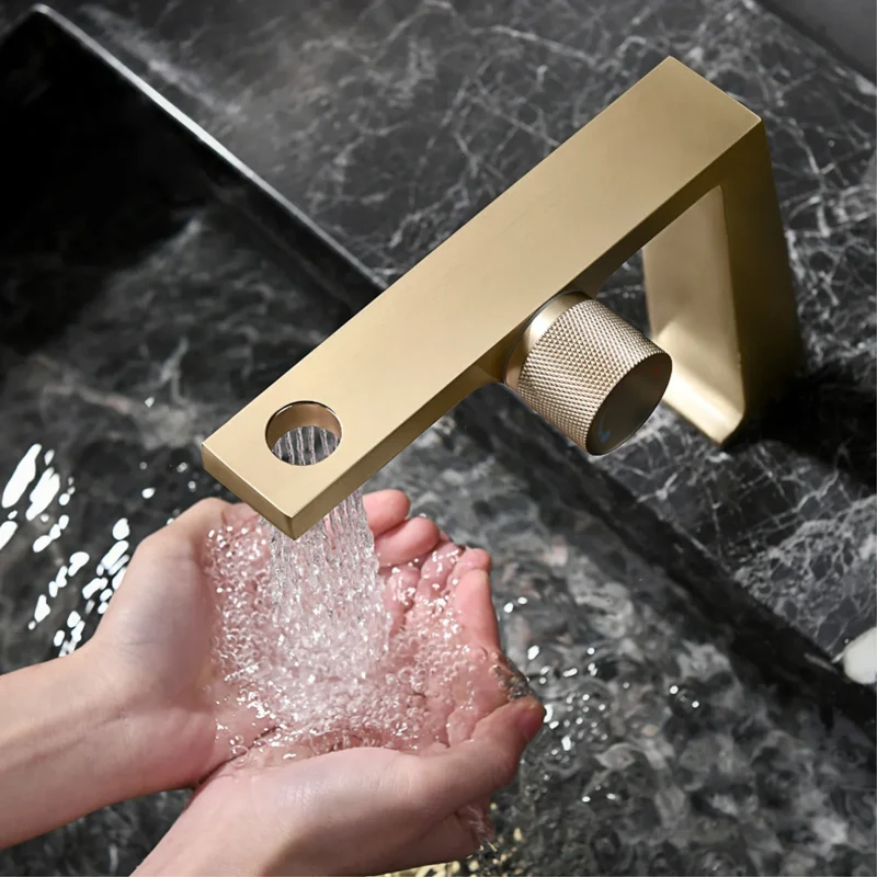 Elegant Touch Enkel Dobbelt Kontrol Badeværelsesarmatur
