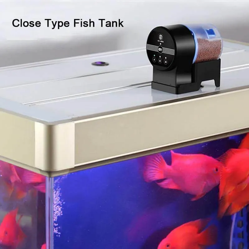 Automatisk timer fiskefoder
