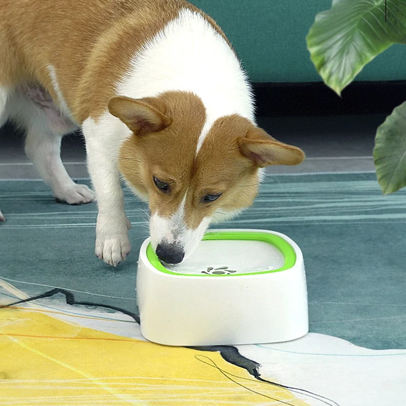 No-Spill Pet Vanddispenser Skål