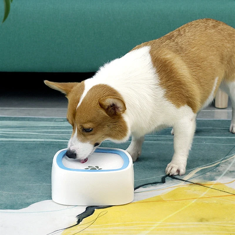 No-Spill Pet Vanddispenser Skål
