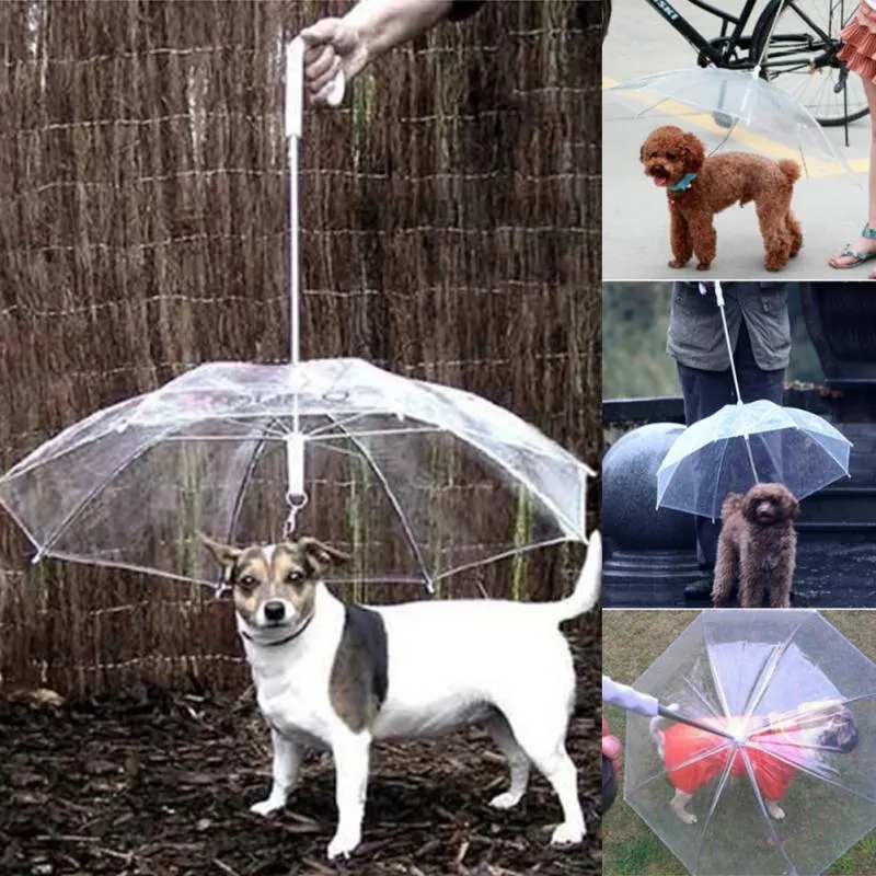 Kreativ Pet Walking Transparent Paraply
