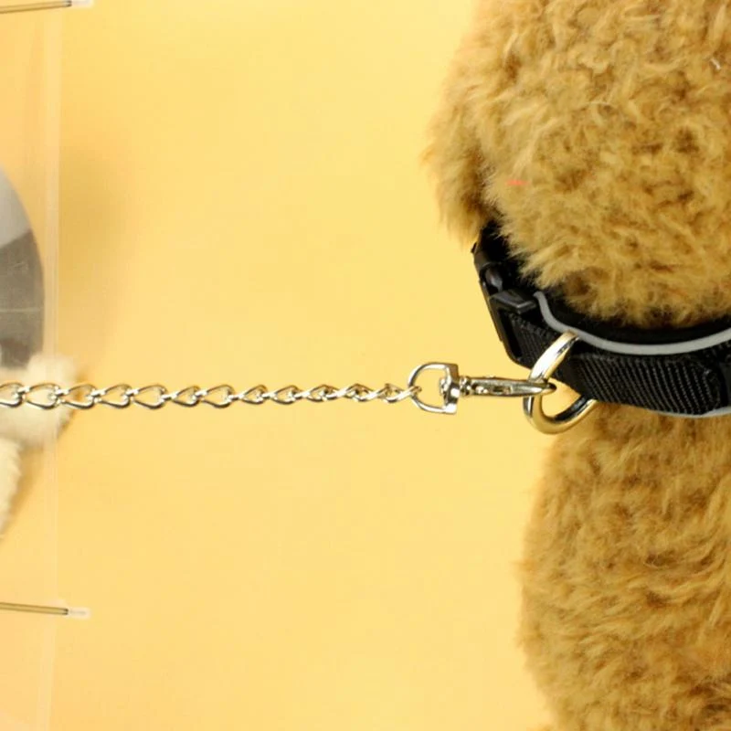 Kreativ Pet Walking Transparent Paraply