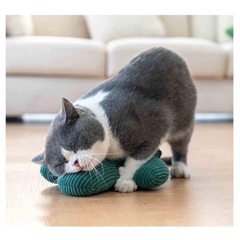 Cactus Pet Tyglegetøj