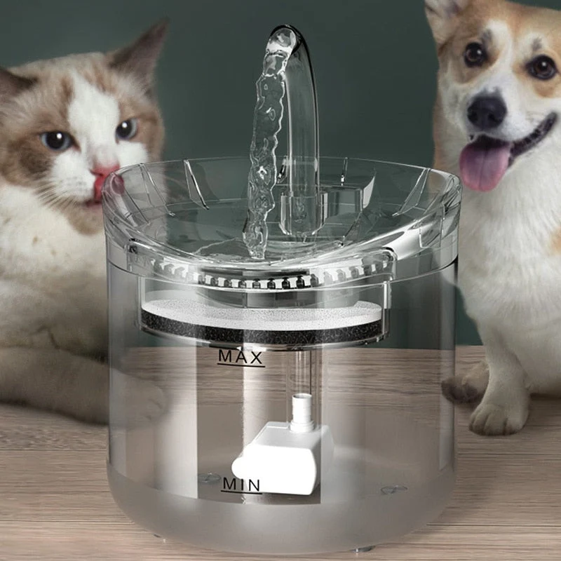 Automatisk sensor pet vand fontæne