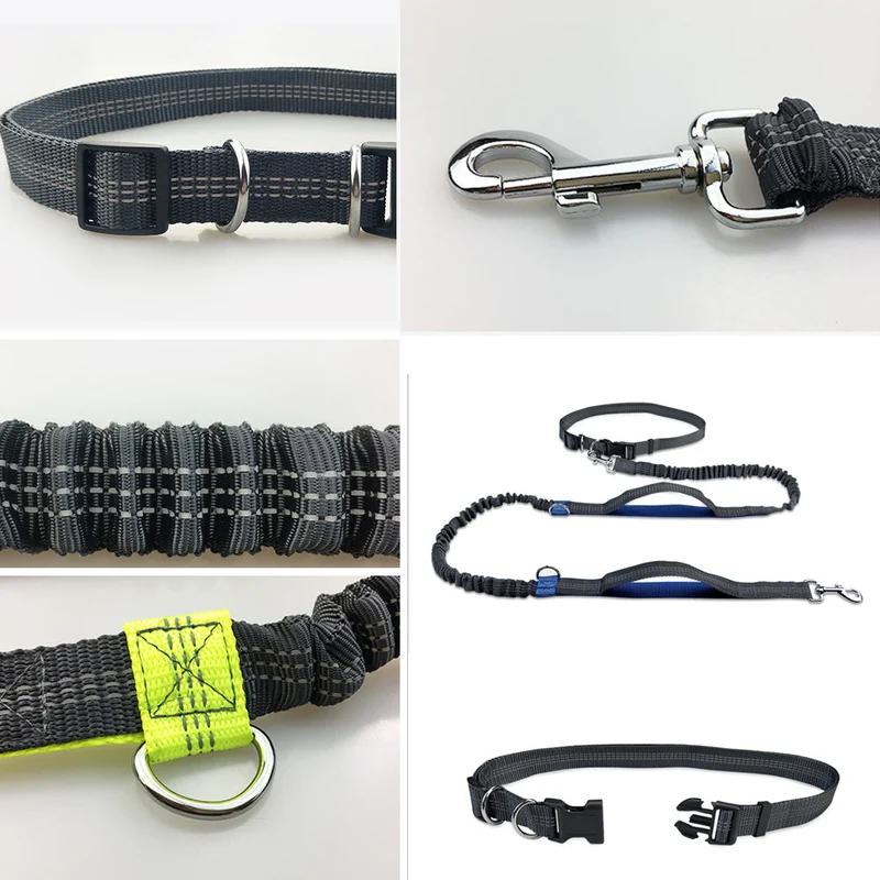 Håndfri elastisk talje hundesnor