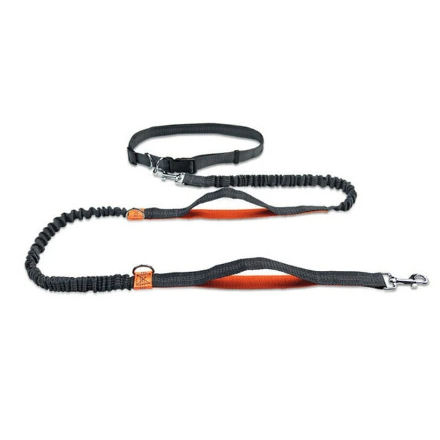 Håndfri elastisk talje hundesnor