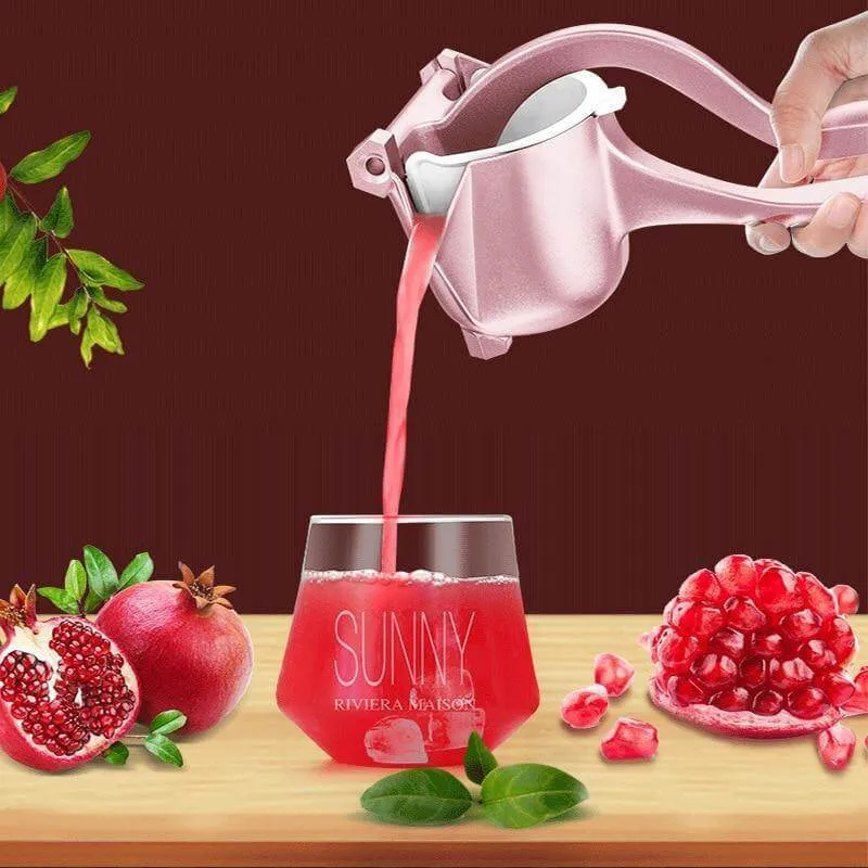 Manuel Nem Easy Fruit Juicer Tool