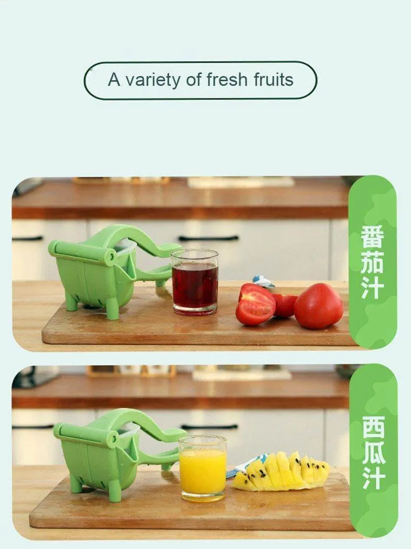 Manuel Nem Easy Fruit Juicer Tool