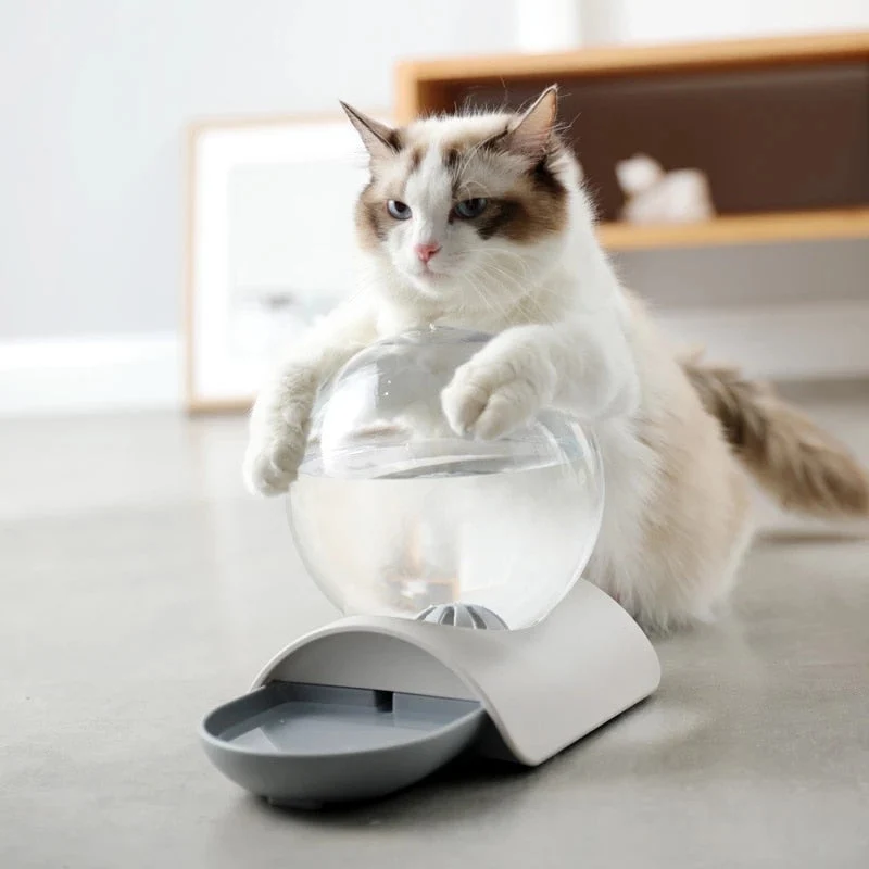 Bubble Automatisk Pet Vandgiver
