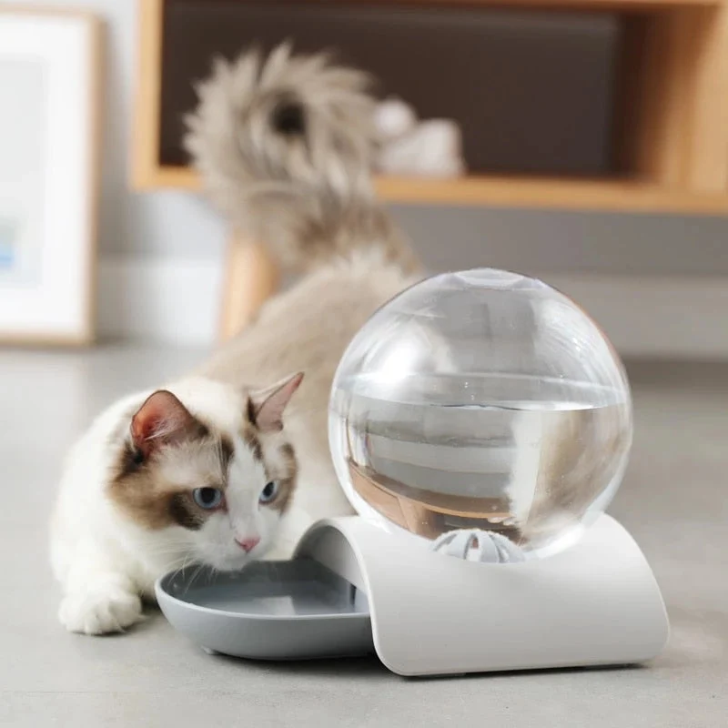 Bubble Automatisk Pet Vandgiver