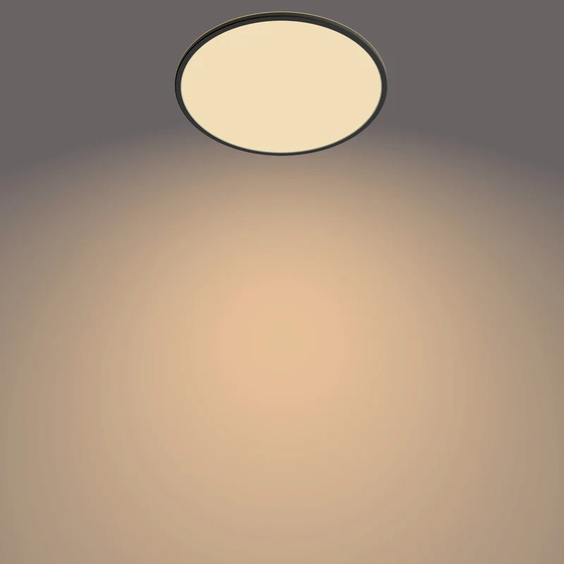 Philips Funktionell Supertunn taklampa 22 W