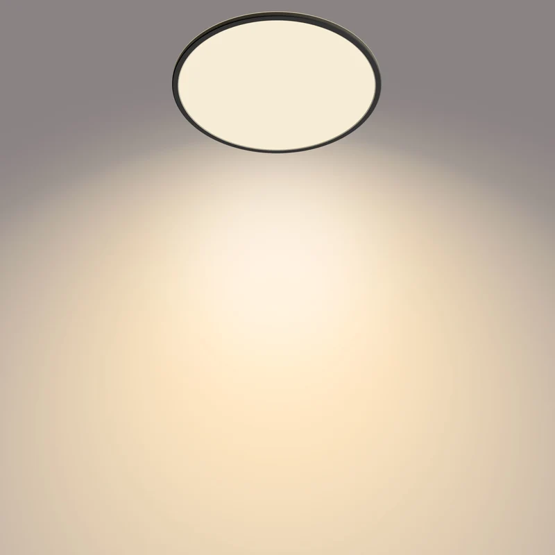 Philips Funktionell Supertunn taklampa 22 W