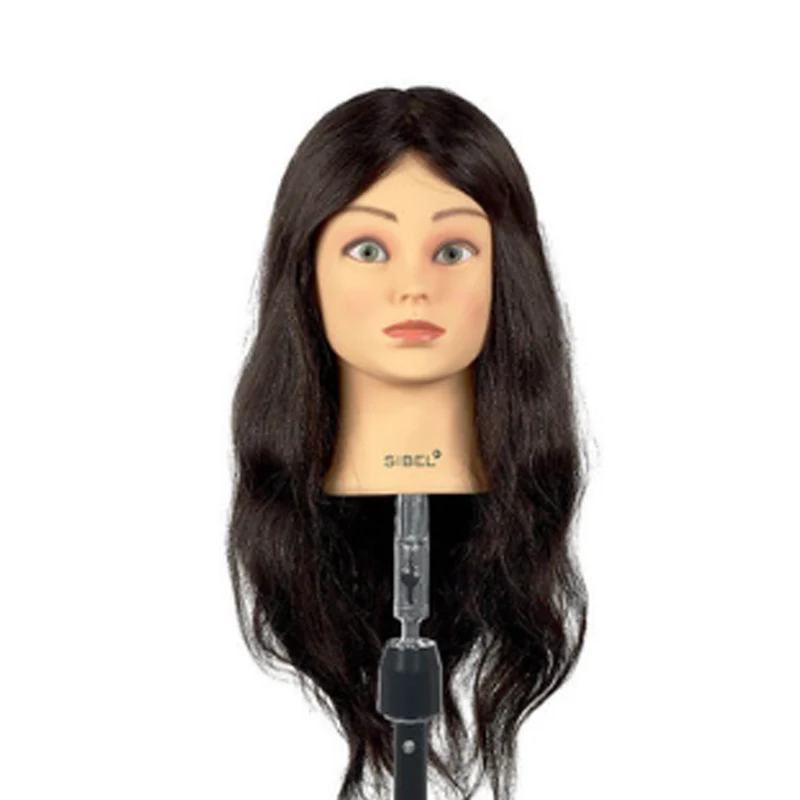 Sibel Training Head Francine