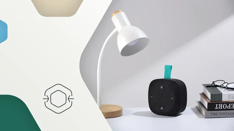 Canyon Hexagon 10 Bluetooth Højttaler, Sort/Grøn