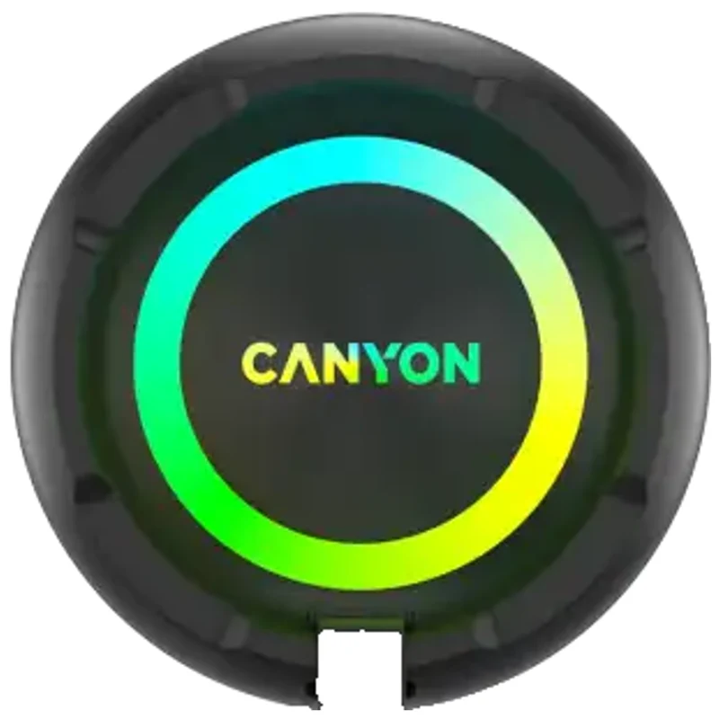 Canyon OnMove 11 20W Bluetooth Højttaler, Sort