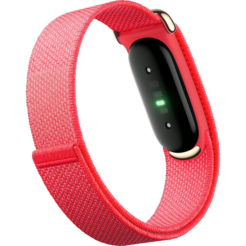 Google Fitbit Air Fitness Tracker, Berry